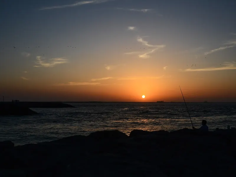 The shore
