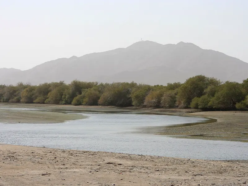 Kalba